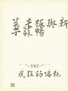 菜老板与新婚妻子苏畅