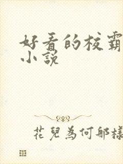 好看的校霸校园小说