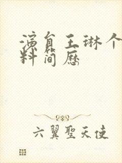 演员王琳个人资料简历