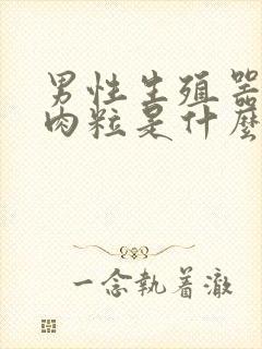 男性生殖器长小肉粒是什么情况