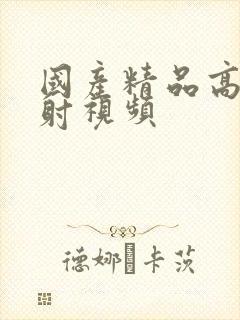 国产精品高潮内射视频