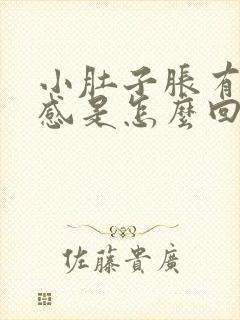 小肚子胀有下坠感是怎么回事