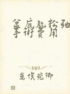 盆底肌松弛治疗手术费用封面