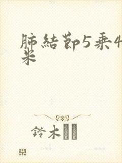 肺结节5乘4毫米封面