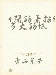 4开的素描纸是多大的纸