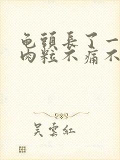 龟头长了一个小肉粒不痛不痒