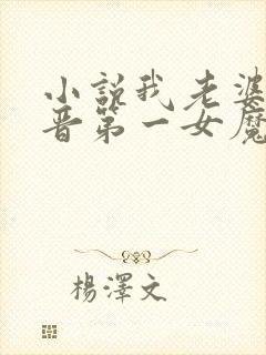 小说我老婆是大晋第一女魔头免费阅读封面