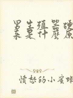 男生殖器硬不起来是什么原因封面