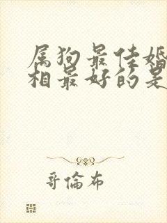 属狗最佳婚配属相最好的是