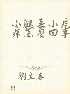 小腿长小疙瘩很痒怎么回事封面