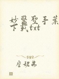 妙医圣手叶皓轩下载txt