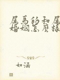 属马的和属蛇的婚姻怎么样封面