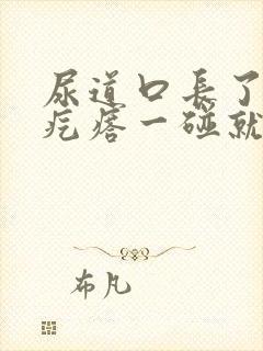 尿道口长了一个疙瘩一碰就疼封面