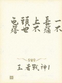 龟头上长一圈疙瘩也不痛不痒封面