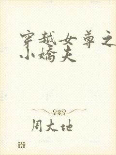 穿越女尊之独宠小娇夫