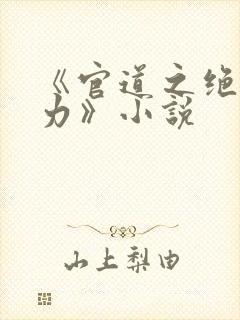 《官道之绝对权力》小说