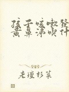 孩子咳嗽发烧流黄鼻涕吃什么药