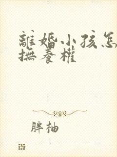 离婚小孩怎么判抚养权