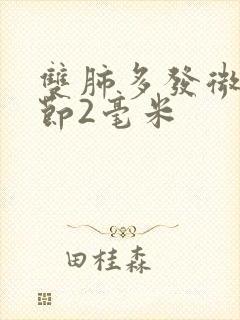 双肺多发微小结节2毫米