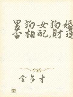 男狗女狗婚姻是否相配,财运如何