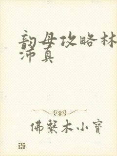 韵母攻略林道苏沛真