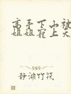 高手下山被七个姐姐宠上天下载txt