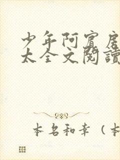 少年阿宾房东太太全文阅读