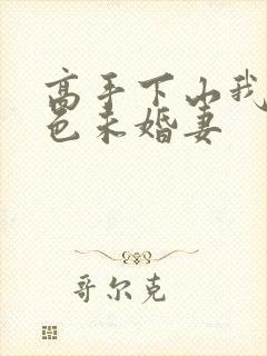 高手下山我的绝色未婚妻