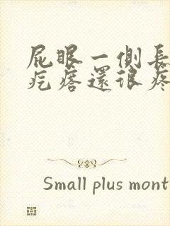 屁眼一侧长了个疙瘩还很疼