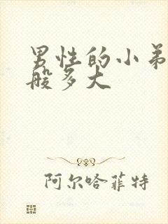 男性的小弟弟一般多大