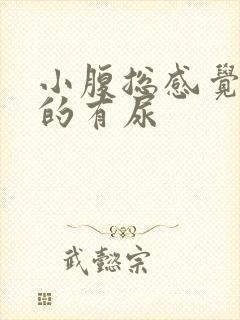 小腹总感觉胀胀的有尿