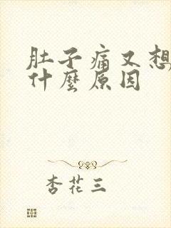 肚子痛又想吐是什么原因