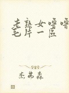 老熟女噜噜av毛片一区