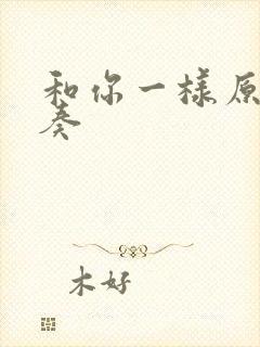 和你一样原版伴奏