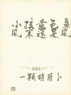 小孩黄色鼻涕是风寒还是风热