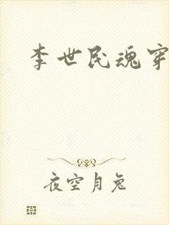 李世民魂穿刘禅封面