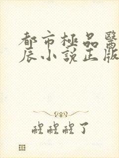 都市极品医神叶辰小说正版