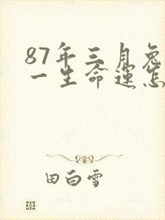 87年三月兔女一生命运怎样