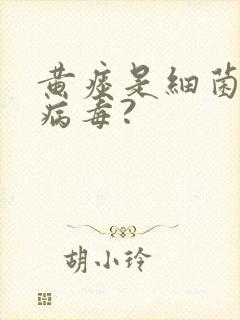 黄痰是细菌还是病毒?