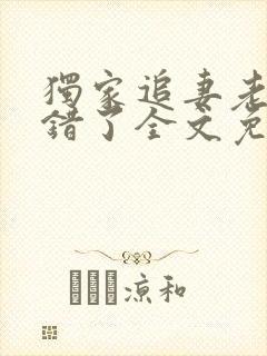 独家追妻老婆我错了全文免费阅读封面