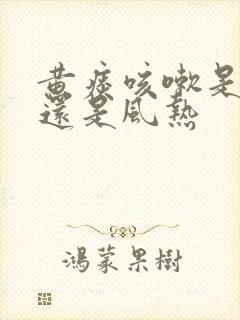 黄痰咳嗽是风寒还是风热封面