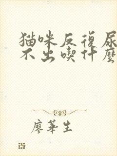 猫咪反复尿血尿不出吃什么药