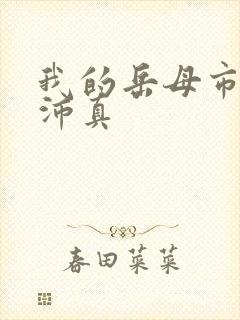 我的岳母市长苏沛真封面