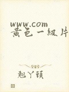 www.com黄色一级片