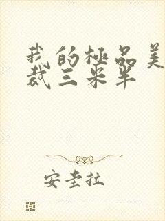 我的极品美女总裁三米半