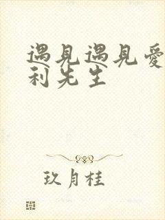 遇见遇见爱情的利先生