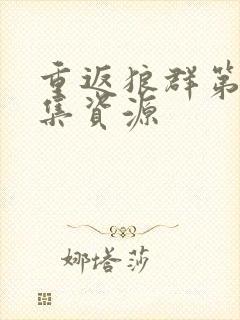 重返狼群第12集资源