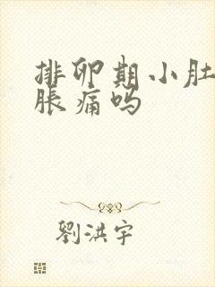 排卵期小肚子会胀痛吗封面