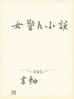 女警h小说封面