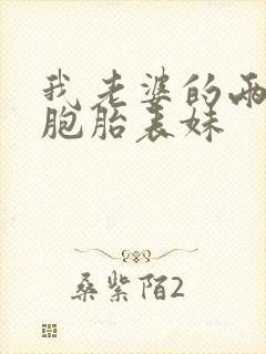 我老婆的两个双胞胎表妹